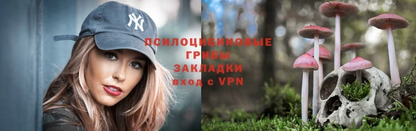 гидропоника Пересвет