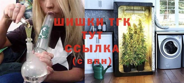 гидропоника Пересвет
