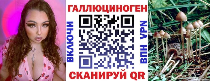 где продают   Находка  Галлюциногенные грибы Magic Shrooms 